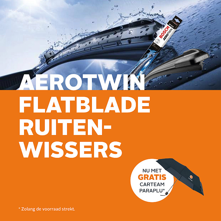 Carteam Autobedrijf Ton de Wit